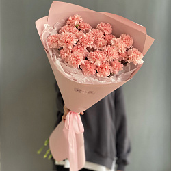 25 розовых диантусов